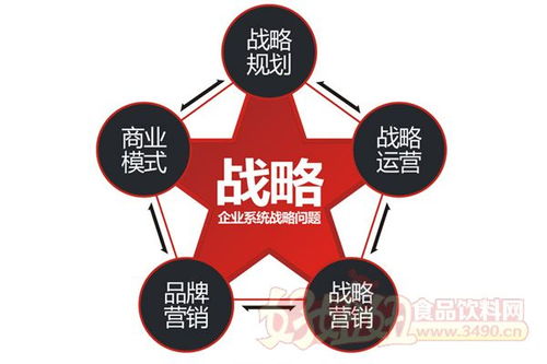 破局與引領(lǐng) 企業(yè)如何構(gòu)建創(chuàng)新的產(chǎn)品營(yíng)銷策略與策劃體系