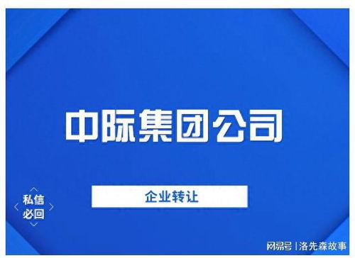 中際控股集團批復新成立旅游開發項目策劃咨詢